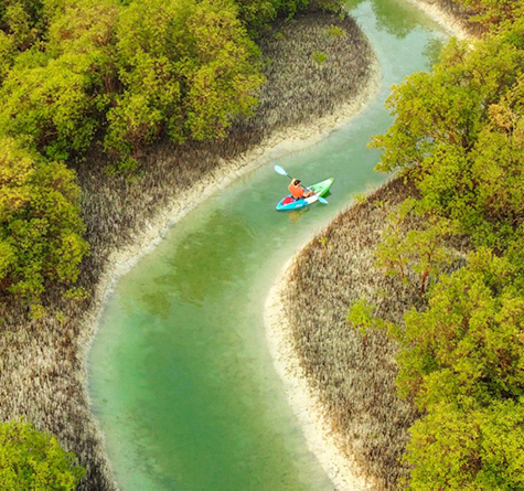 Guided Kayak Tour at Reem Central Park, , medium